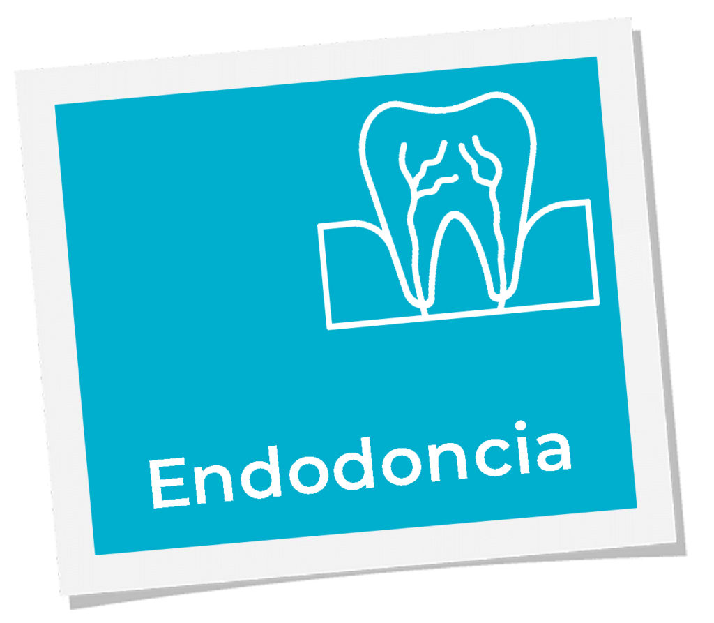 endodoncia